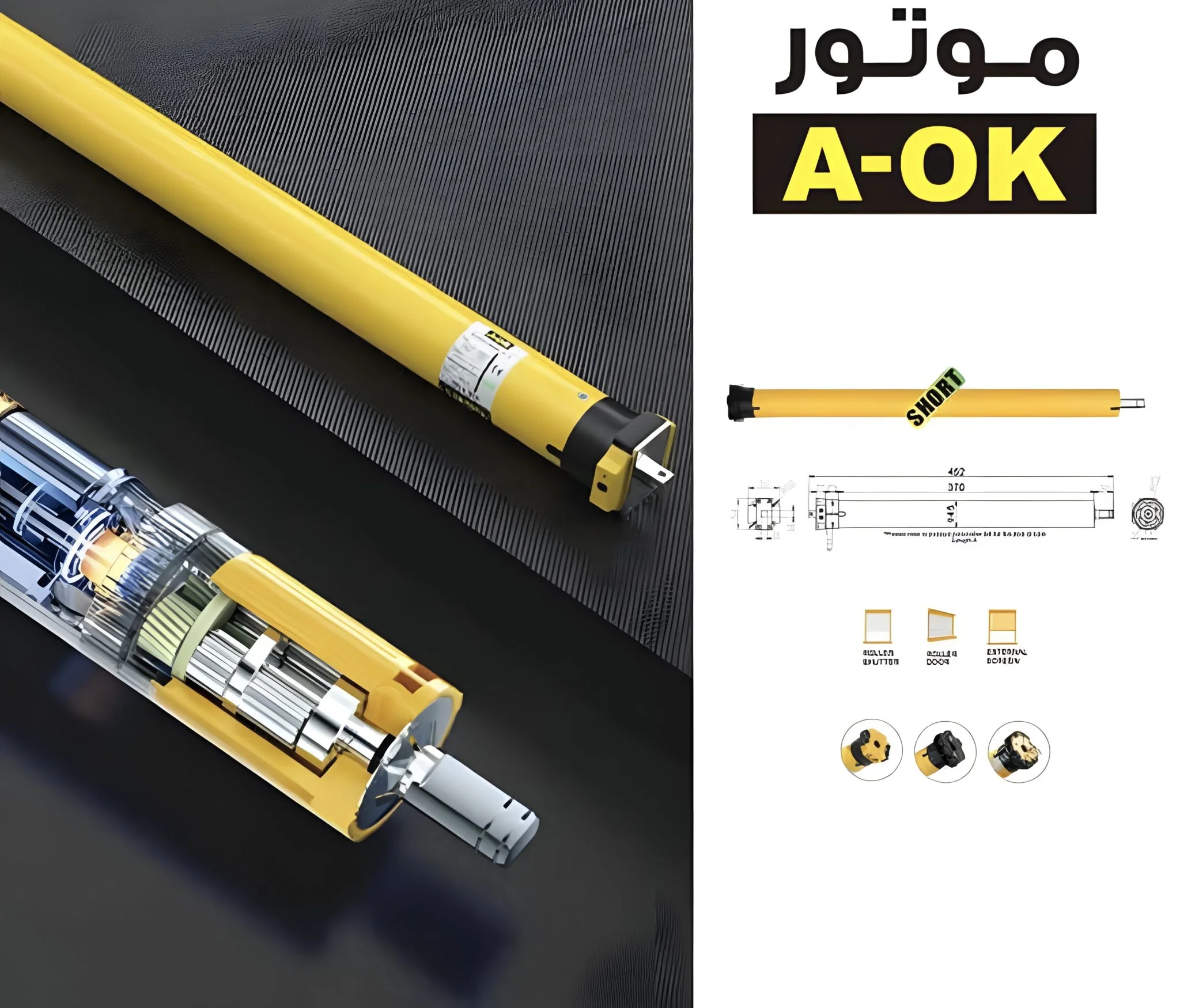 صيني