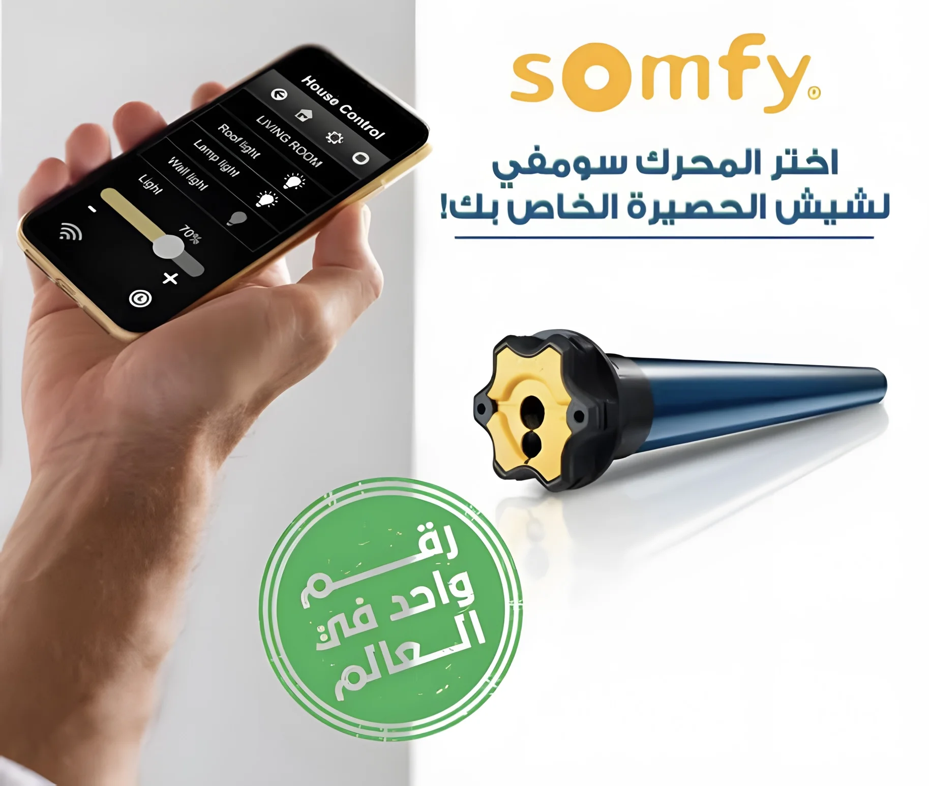 فرنسي